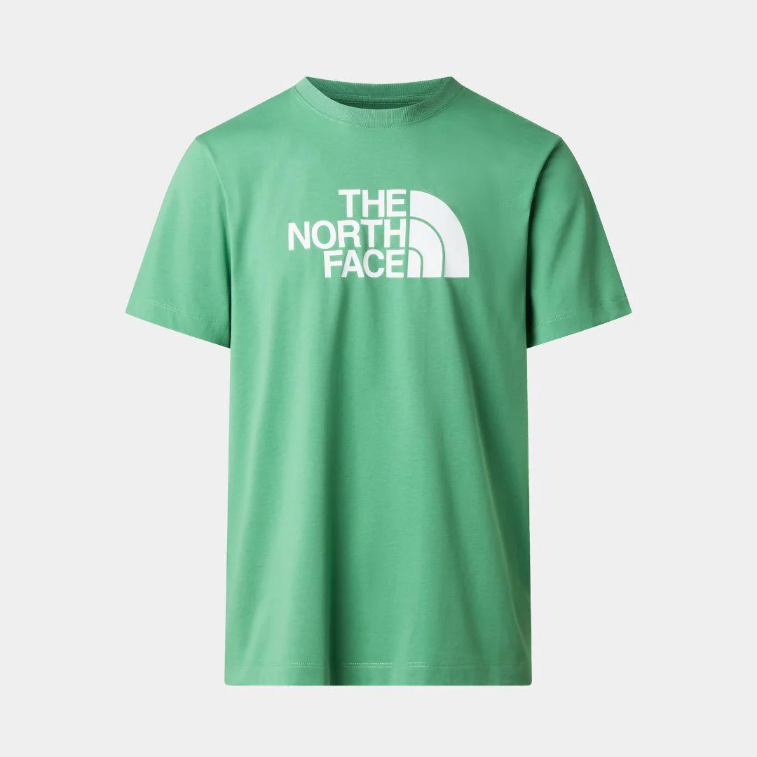 Camiseta The North Face Estándar Half Dome Evolution Para Hombre - Image 3