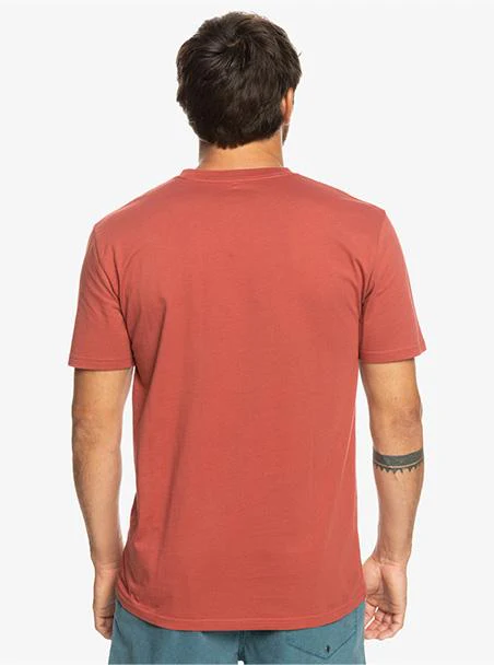 Quiksilver Mwminilogo M Tees - Image 2